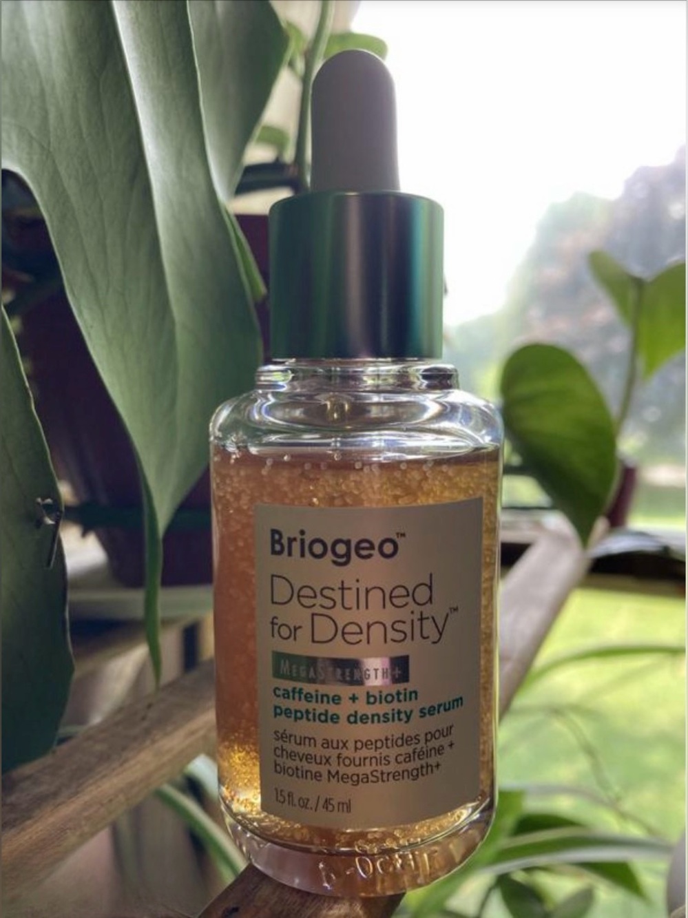 briogeo serum